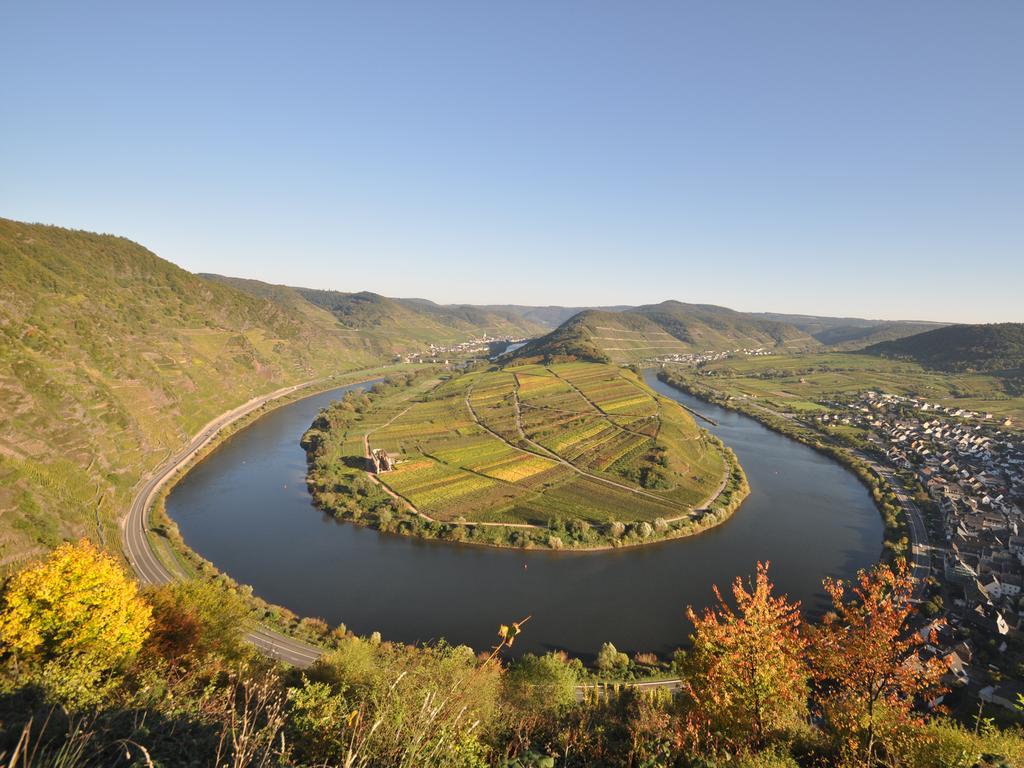 Ferienwohnung Am Moselufer Zell an der Mosel Bagian luar foto