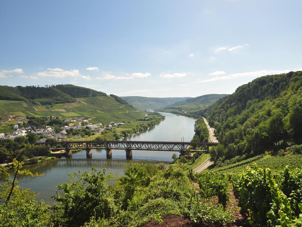 Ferienwohnung Am Moselufer Zell an der Mosel Bagian luar foto