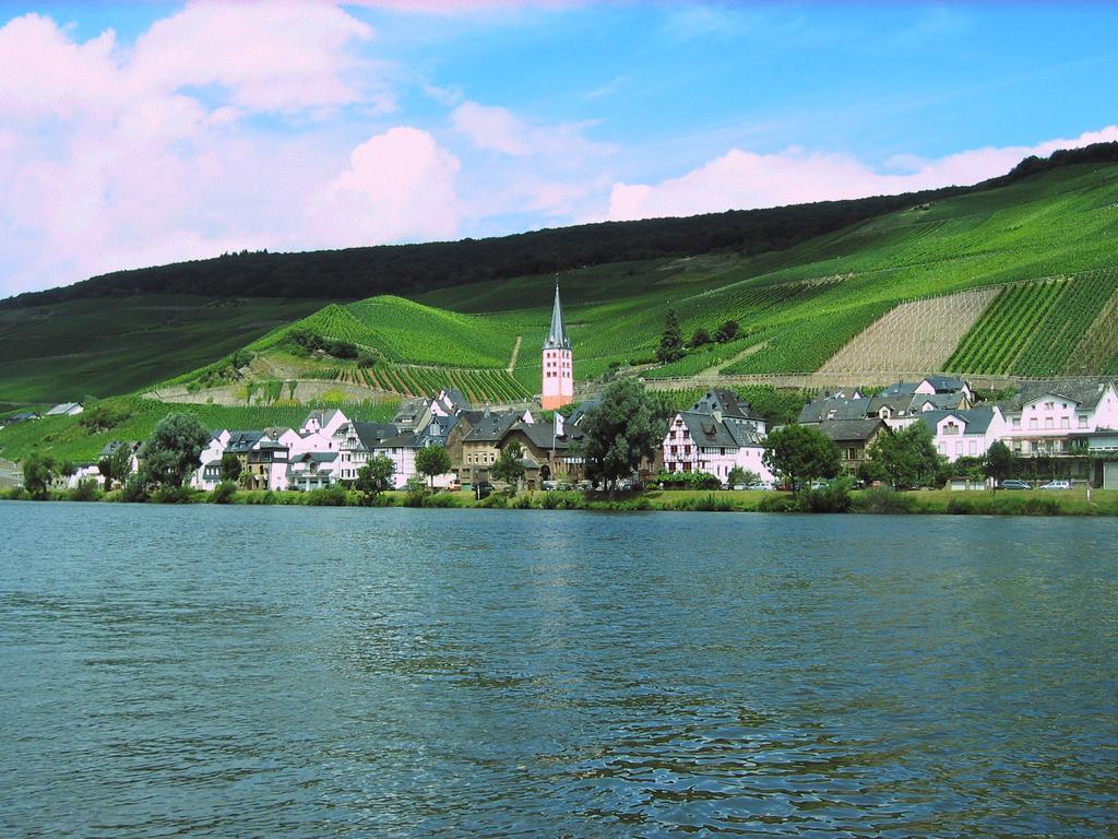 Ferienwohnung Am Moselufer Zell an der Mosel Bagian luar foto